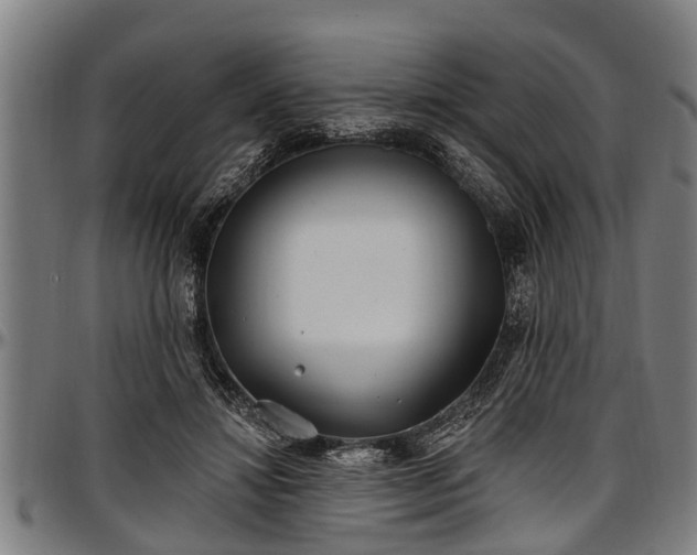 X0000097470452200802291315