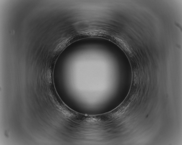 X0000097470453200802291315