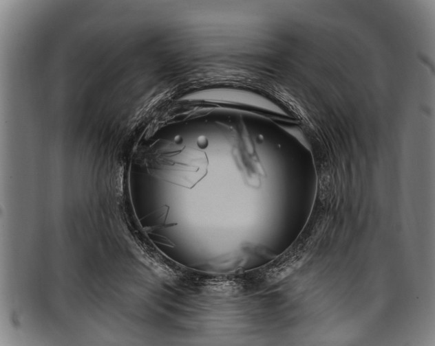 X0000097470454200802291315