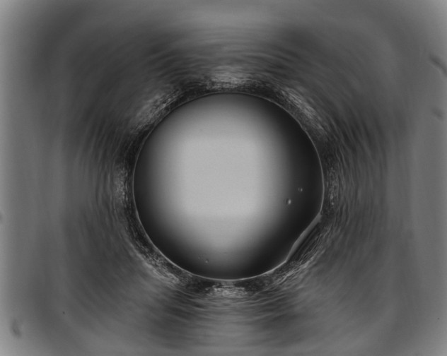 X0000097470455200802291315
