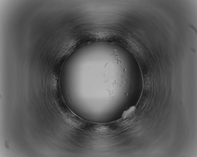X0000097470456200802291315