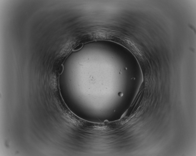 X0000097470457200802291315