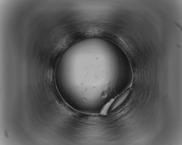 X0000097470458200802291315