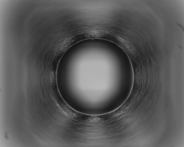 X0000097470459200802291315