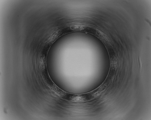 X0000097470460200802291315