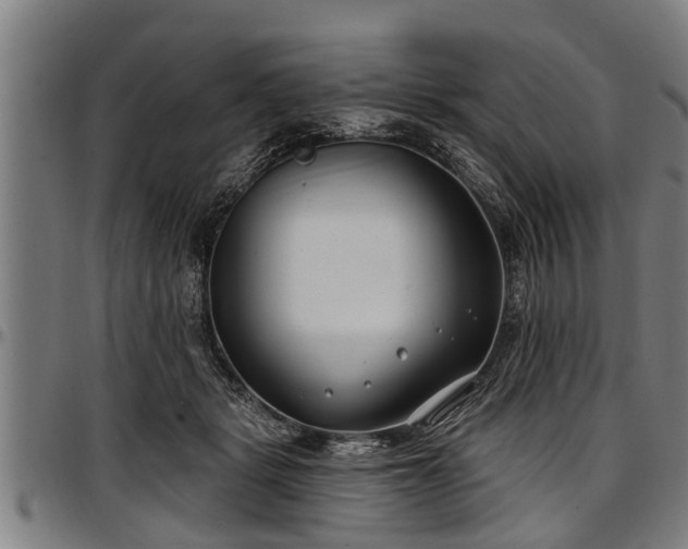 X0000097470461200802291315