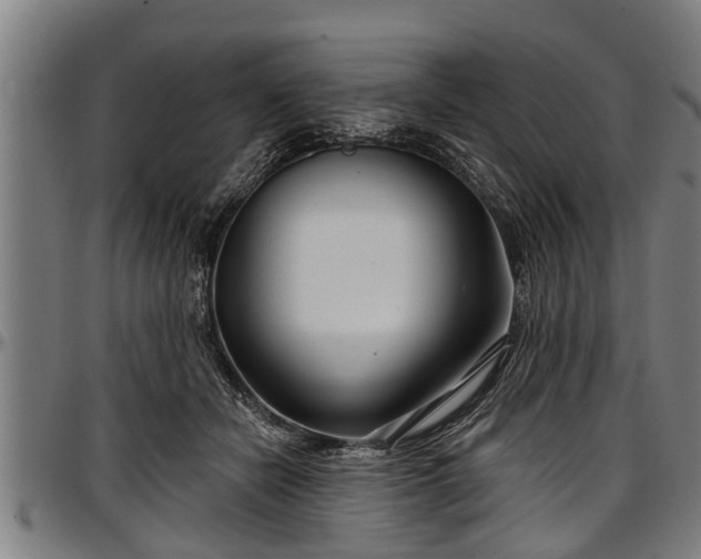 X0000097470462200802291315