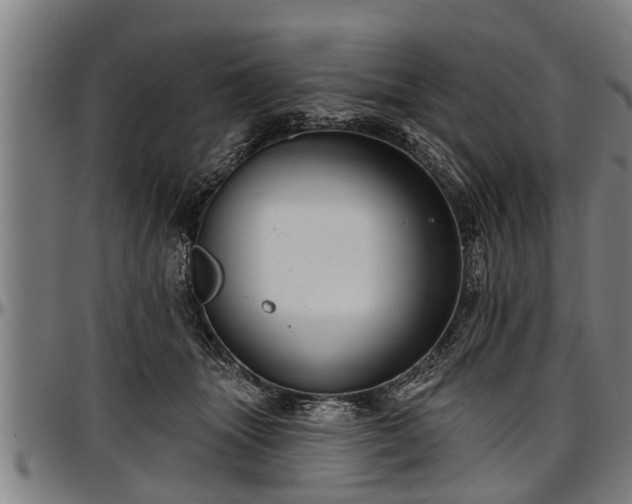 X0000097470463200802291315