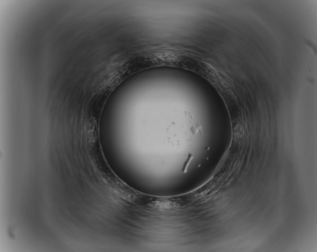 X0000097470464200802291315