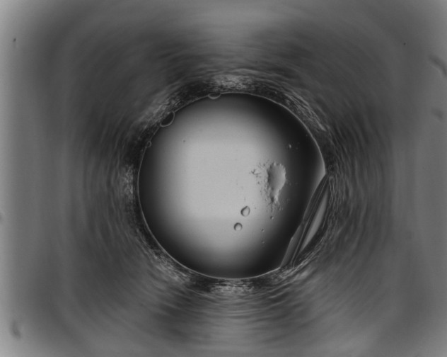 X0000097470466200802291315