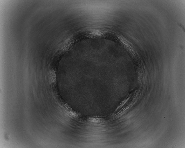 X0000097470467200802291315