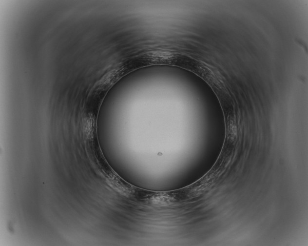 X0000097470468200802291315
