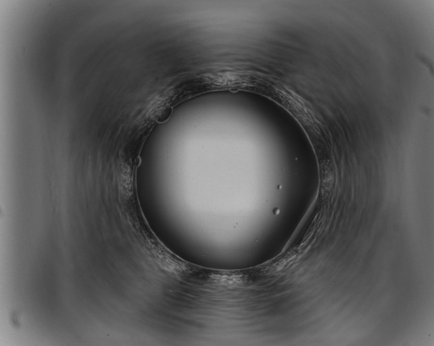 X0000097470469200802291315