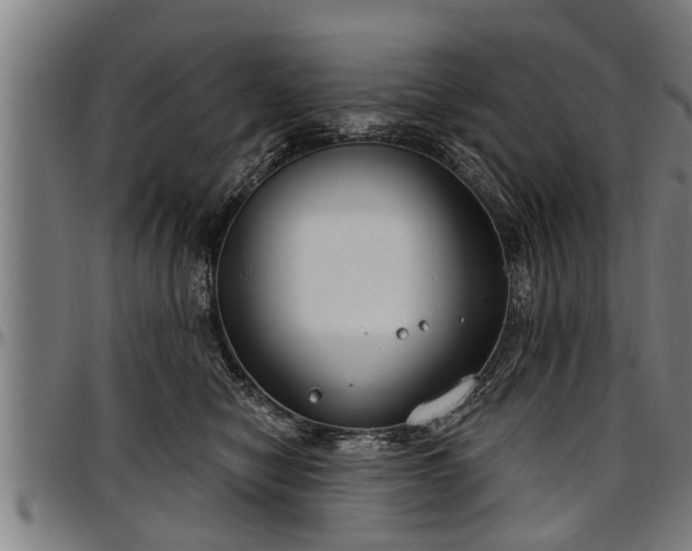 X0000097470470200802291315