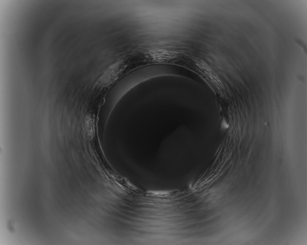 X0000097470471200802291315