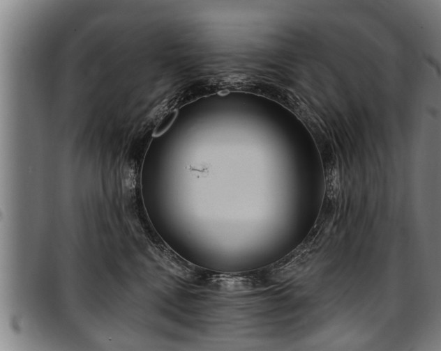 X0000097470472200802291315