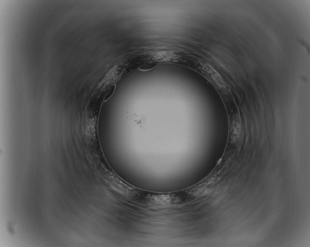 X0000097470473200802291315