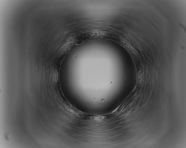 X0000097470474200802291315