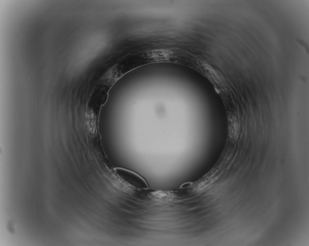 X0000097470477200802291315