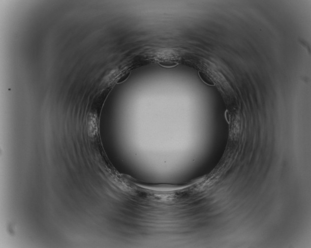 X0000097470478200802291315