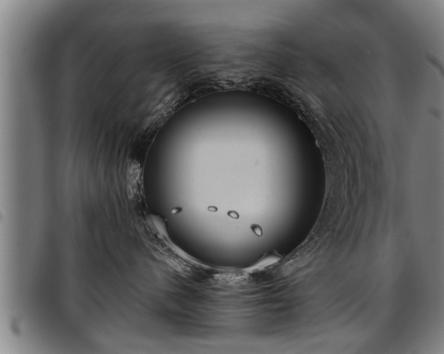 X0000097470480200802291315