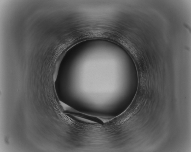 X0000097470481200802291315