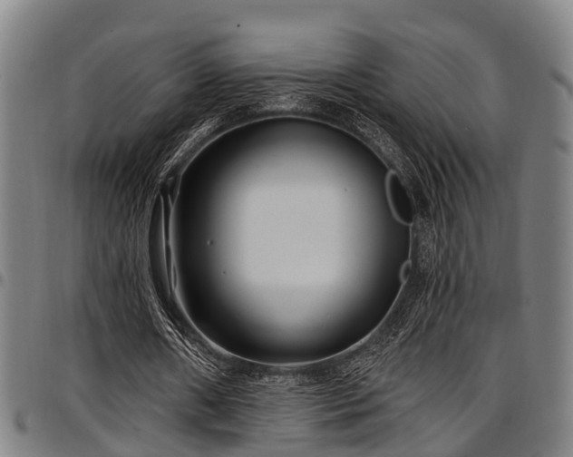 X0000097470482200802291315