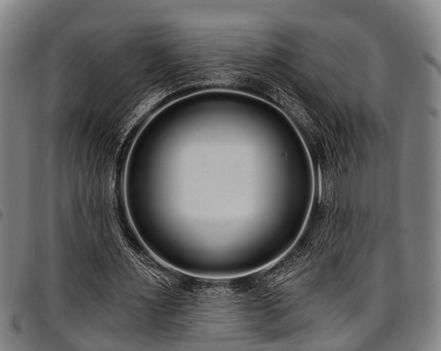 X0000097470483200802291315