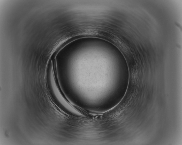 X0000097470484200802291315
