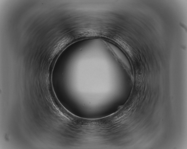 X0000097470485200802291314