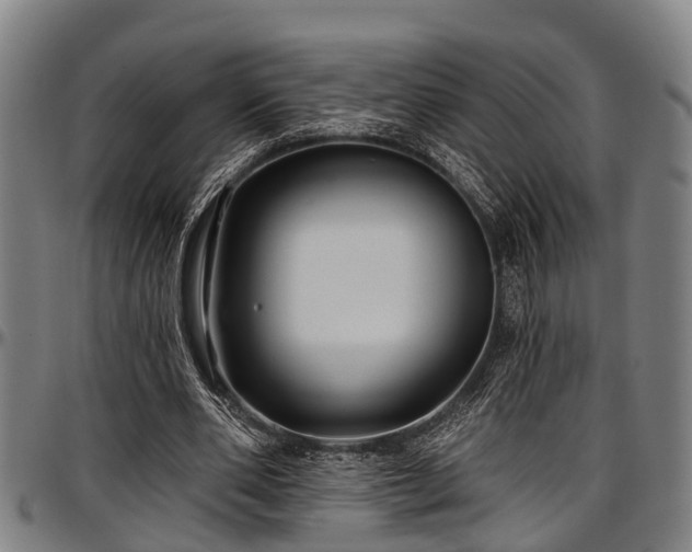 X0000097470486200802291314