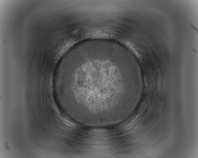 X0000097470487200802291314