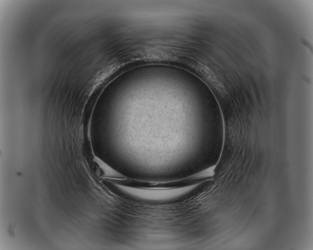 X0000097470488200802291314