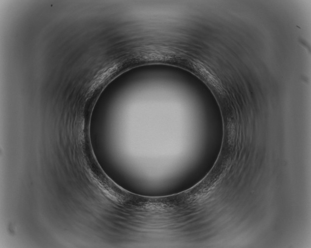 X0000097470490200802291314
