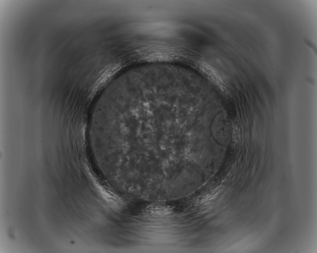 X0000097470491200802291314