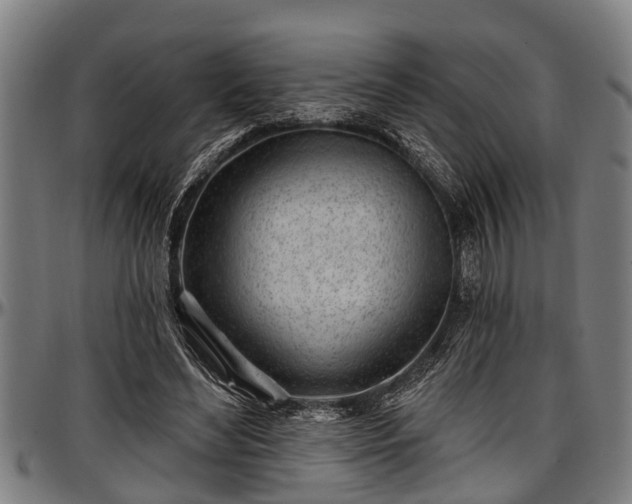 X0000097470492200802291314