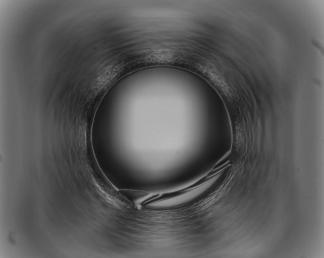 X0000097470493200802291314