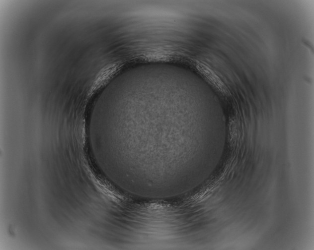 X0000097470494200802291314