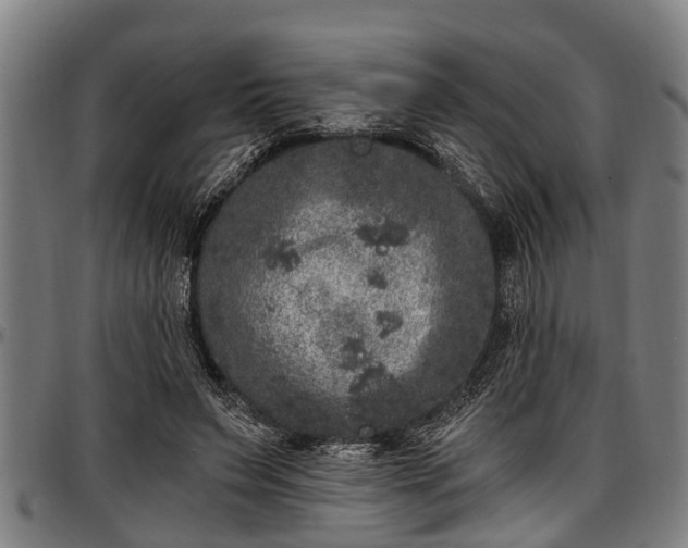 X0000097470495200802291314