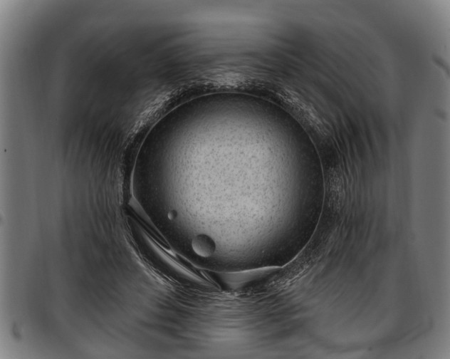 X0000097470496200802291314