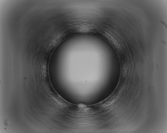 X0000097470497200802291314