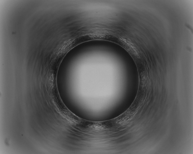 X0000097470498200802291314