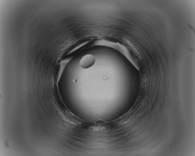X0000097470500200802291314