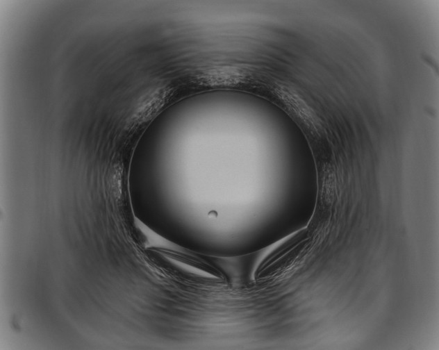 X0000097470501200802291314