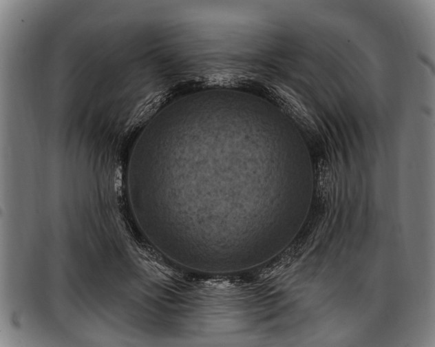 X0000097470502200802291314