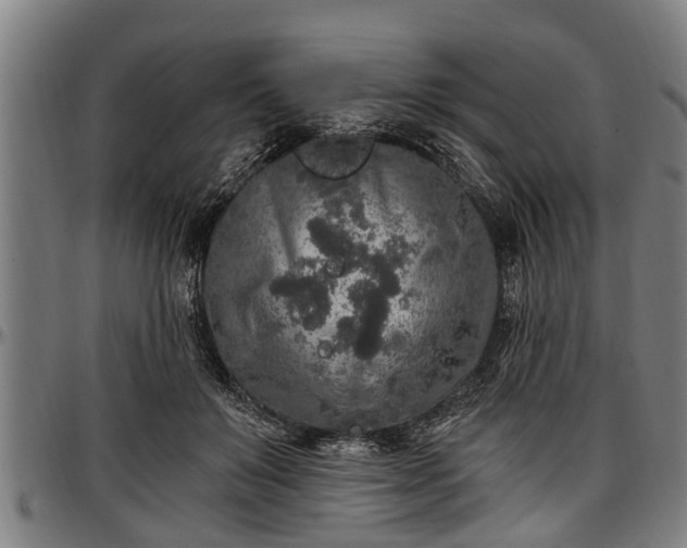 X0000097470503200802291314