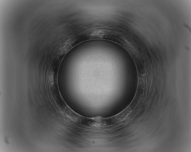 X0000097470504200802291314