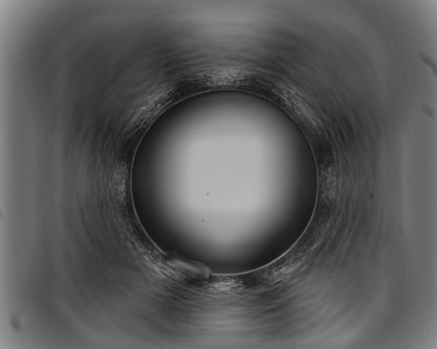 X0000097470505200802291314