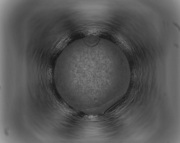 X0000097470506200802291314