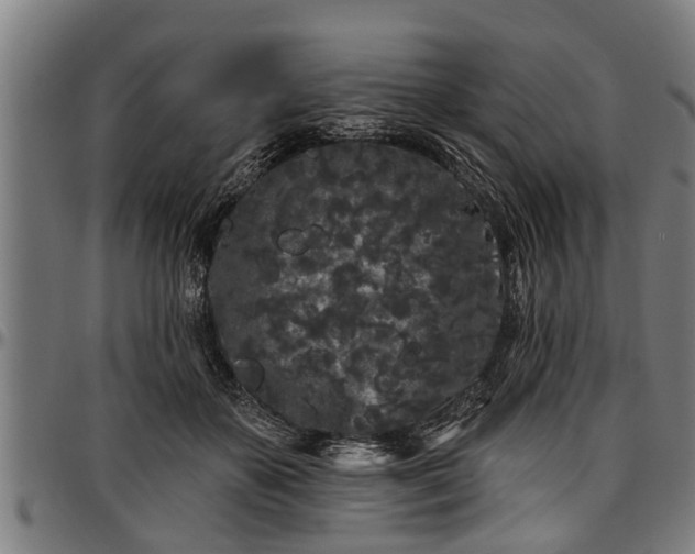 X0000097470507200802291314